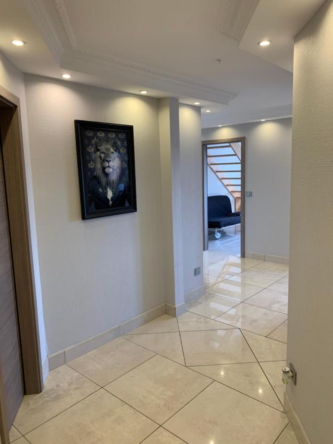Apartament La Terrasse Du Parc Marckolsheim Zewnętrze zdjęcie